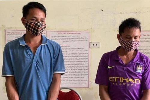 Bắt tạm giam 2 đối tượng khai thác rừng trái phép
