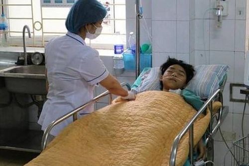 Ăn phải nấm độc, 2 anh em họ thương vong