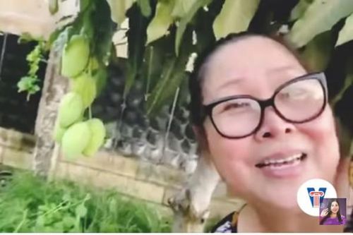 Nhà vườn rộng thênh thanh của vợ chồng NSND Hồng Vân - Lê Tuấn Anh