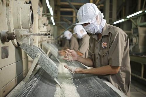 Lần thứ 3 đề xuất, Bộ Công Thương muốn xuất khẩu gạo nhưng kiểm soát chặt