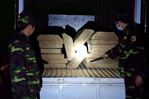 Bắt quả tang vụ vận chuyển gỗ trái phép tại Thừa Thiên - Huế