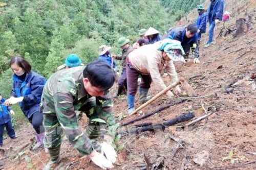 Khuyến cáo về trồng rừng vụ Xuân Hè