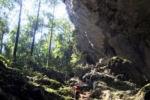 Quảng Bình: Phát hiện thêm 12 hang động mới với chiều dài hơn 10km
