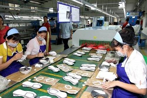 Bắt đầu triển khai thu thập thông tin doanh nghiệp trực tuyến