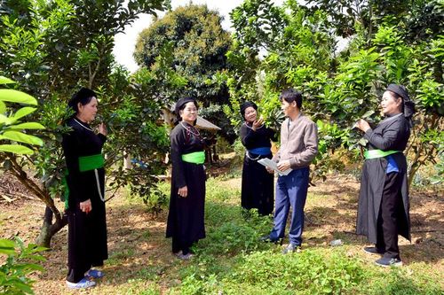 Chủ động nắm tình hình, xử lý nghiêm vi phạm