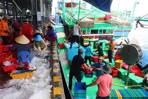 'Giải cứu' tôm cá cho tàu cứu hộ ngư dân bị Trung Quốc bắt giữ ở Hoàng Sa