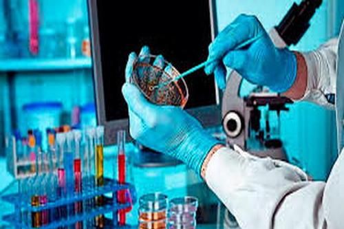 Tại sao hydroxychloroquine lại được nghiên cứu trong điều trị COVID-19?