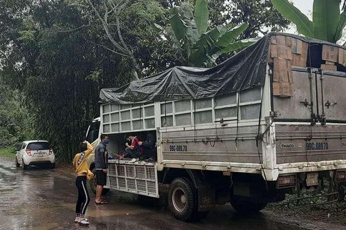 Sốc: Phát hiện 15 người trốn trong xe tải để đi đám ma