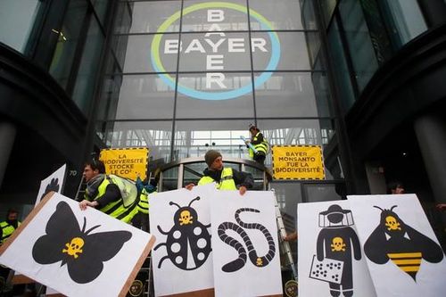 'Bóng ma' bê bối vẫn chưa buông tha Bayer