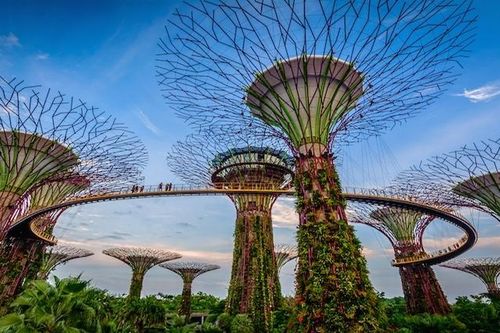Kỳ quan nhân tạo 'siêu cây' năng lượng mặt trời