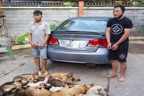 Hai đối tượng trộm chó dùng súng bắn điện, bột ớt chống trả Công an
