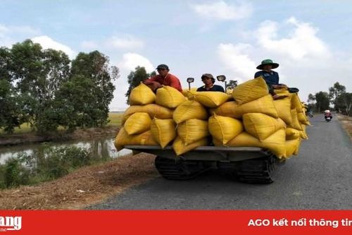 Đo lường rủi ro, thách thức để sản xuất đạt hiệu quả