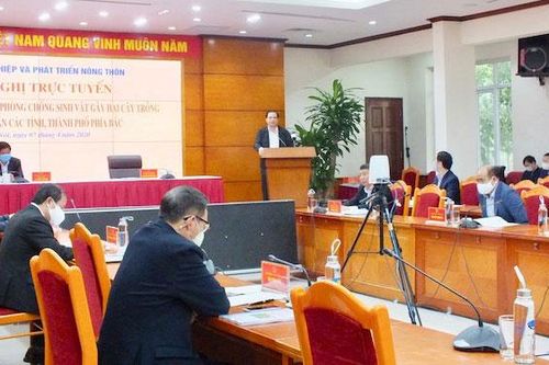 Bảo vệ tốt diện tích lúa xuân, bảo đảm an ninh lương thực quốc gia