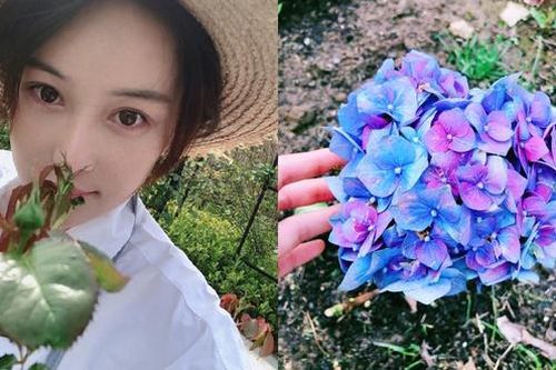 Trương Hinh Dư ở nhà trồng hoa trong lúc nghỉ việc