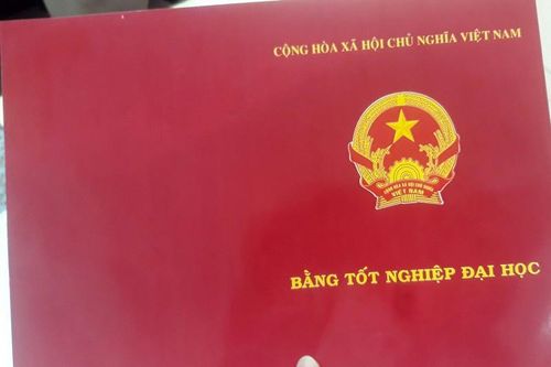 Nữ bác sĩ ở Đồng Nai dùng 2 bằng giả để hành nghề