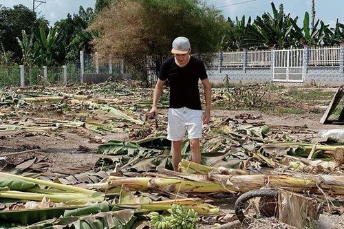 Minh Luân về quê làm nông dân