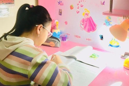 Hà Nội: Tiếp tục phát sóng dạy học trên truyền hình từ lớp 4 đến 12