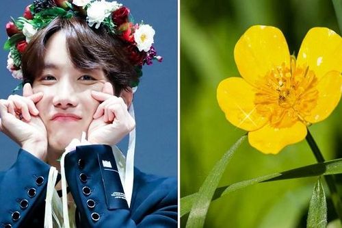 Tháng sinh của BTS thuộc bông hoa tượng trưng nào?