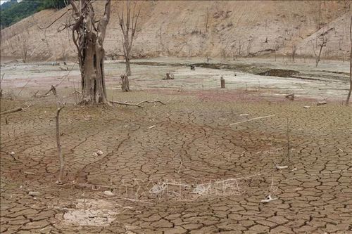 Chủ động nguồn nước để sử dụng hiệu quả trong điều kiện hạn hán
