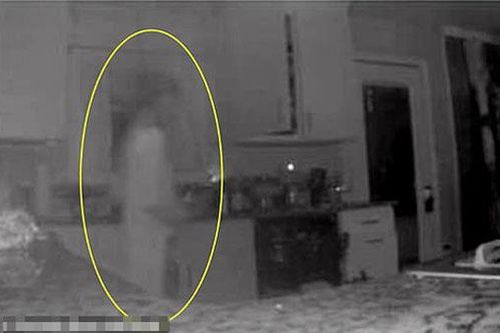 Kiểm tra camera người phụ nữ tưởng có người lạ vào nhà, ai ngờ nhìn kĩ mới phát hiện điều hoảng hồn
