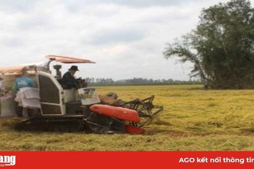 Đảm bảo nước sản xuất vụ hè thu