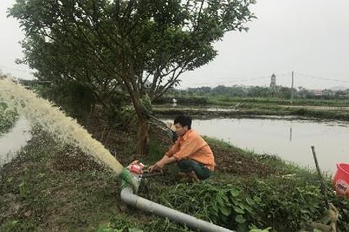 Yên Thắng tập trung phát triển nông nghiệp, nâng cao thu nhập cho người dân