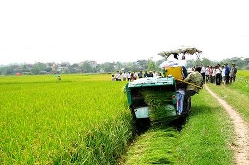 Để nông nghiệp Phú Thọ phát triển bền vững