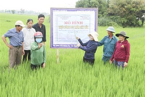 Hỗ trợ nông dân phát triển sản xuất nông nghiệp