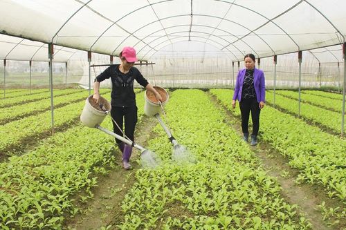 Đảm bảo nguồn cung nông sản an toàn