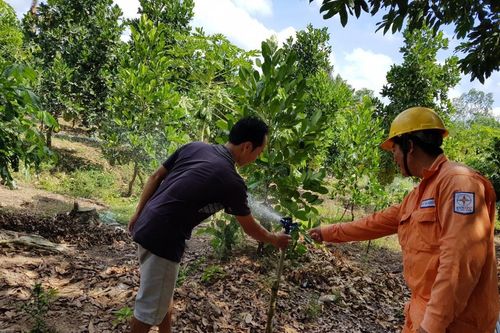 PC Trà Vinh: Hiện thực hóa ước mơ 'đưa điện ra đảo'