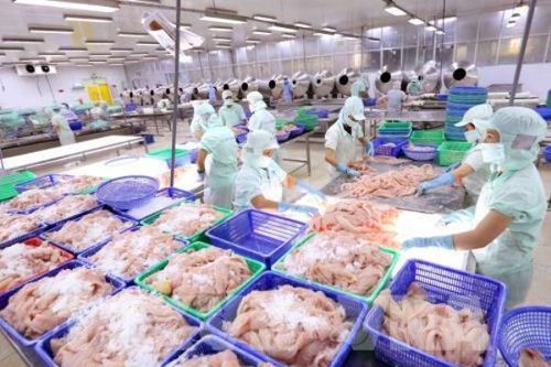 Bốn lý do để hy vọng xuất khẩu lạc quan trở lại