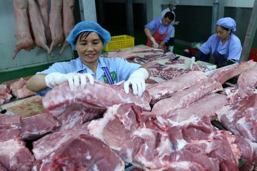 Vì đâu giá thịt lợn vẫn cao chót vót dù các doanh nghiệp lớn đã giảm?
