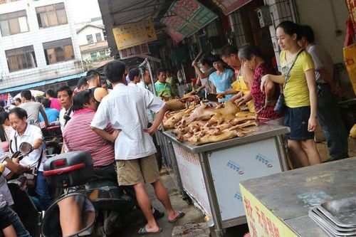 Trung Quốc sẽ cấm ăn thịt chó, mèo sau dịch Covid-19