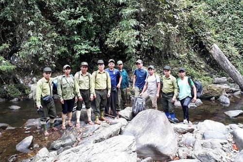 Giữ rừng mùa đại dịch