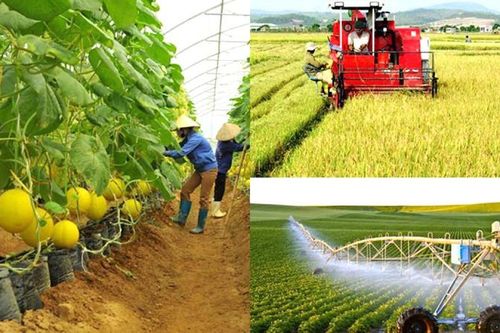 Tích tụ đất nông nghiệp để sản xuất hàng hóa: Cần hoàn thiện hành lang pháp lý