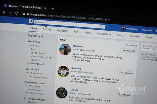 Nhóm Đảo mèo trên Facebook vì sao bị 'bay mầu'?