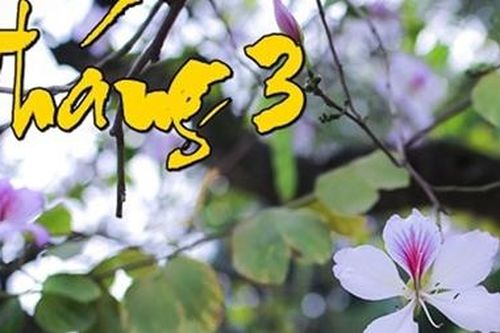 Dư âm tháng ba...