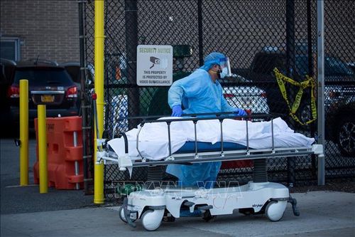 Dịch COVID-19: New York ghi nhận tới 779 ca tử vong trong 24 giờ qua