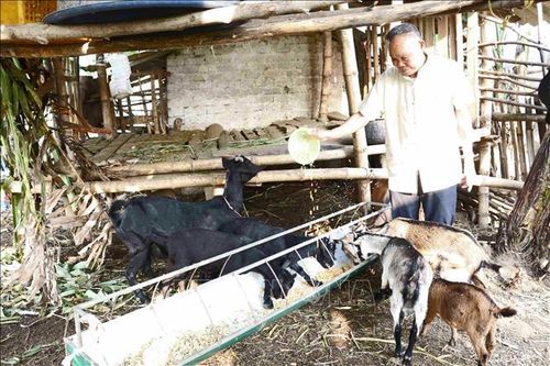 Già làng tiên phong vận động đồng bào Thổ xây dựng nông thôn mới
