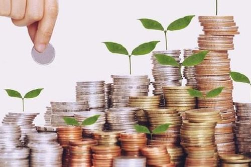 Chim báo bão: Khi công ty tốt không còn trả cổ tức