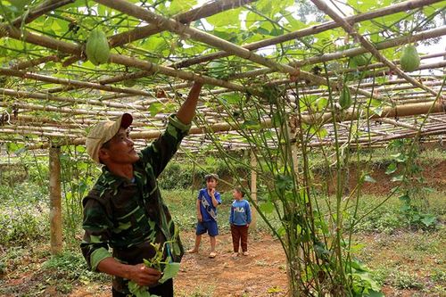 Những 'nông dân mới' góp phần thúc đẩy tái cơ cấu ngành Nông nghiệp