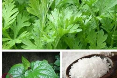 Liệu pháp hay chữa đau mỏi vai gáy