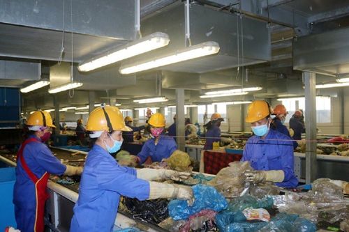 Thúc đẩy các dự án phát điện sử dụng chất thải rắn phát triển