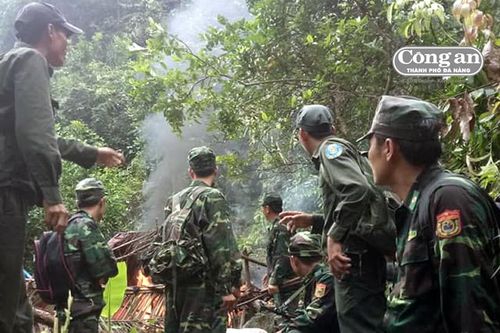 Lực lượng bảo vệ rừng liên tục bị tấn công, uy hiếp