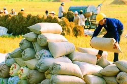 Thủ tướng đồng ý xuất khẩu 400.000 tấn gạo trong tháng 4