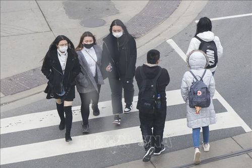 Liên minh Các trường CĐ, ĐH Canada cam kết nỗ lực hỗ trợ sinh viên Việt Nam