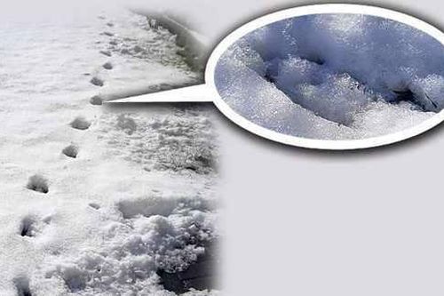 Dấu chân của quỷ: Bí ẩn rùng rợn