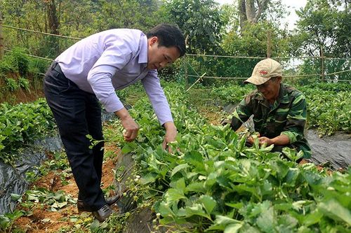 Tái cơ cấu sản xuất để thích ứng với thiên tai, dịch bệnh