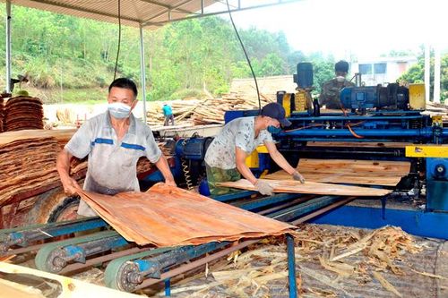 Ấm no từ chuỗi liên kết
