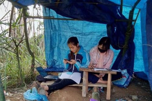 Cô nữ sinh ĐH Thương mại phải dựng lán trên đồi, bắt sóng học online